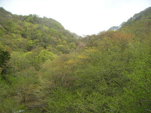 b0175571_2321764.jpg