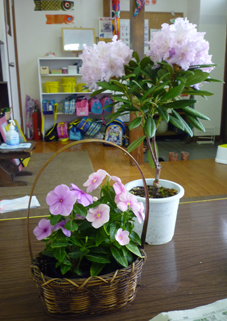 c0201173_21114913.jpg