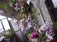 a0142083_14583757.jpg