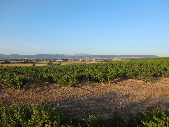 b0214184_23393069.jpg