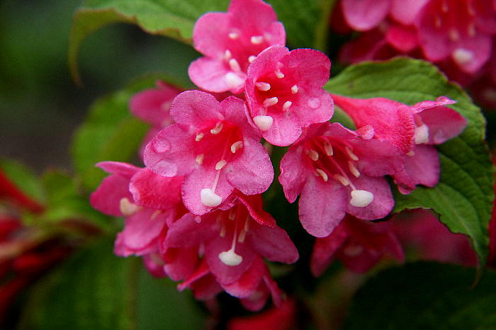 b0171185_222711100.jpg