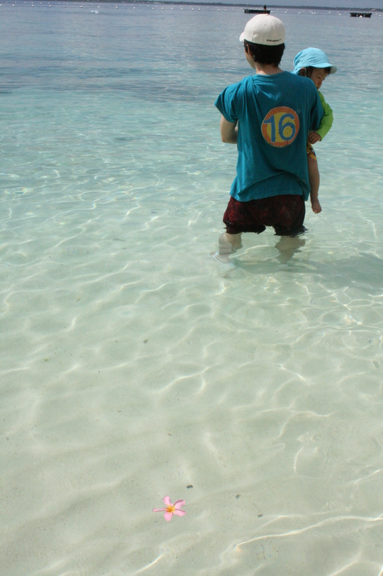 f0142986_16231998.jpg