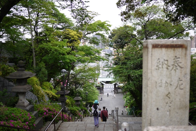 a0127090_20522094.jpg