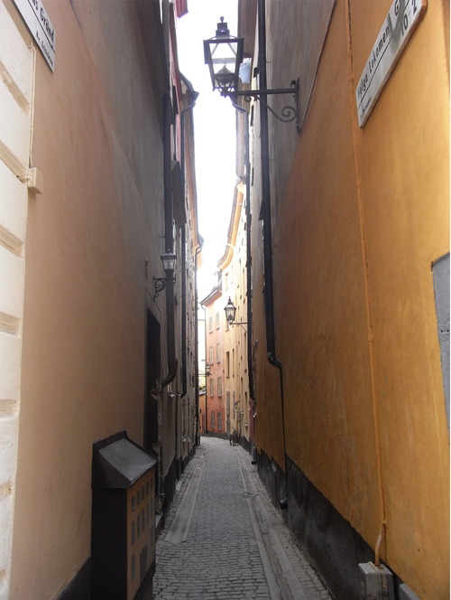 e0150991_444988.jpg