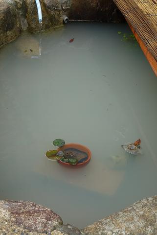 f0222692_14542828.jpg