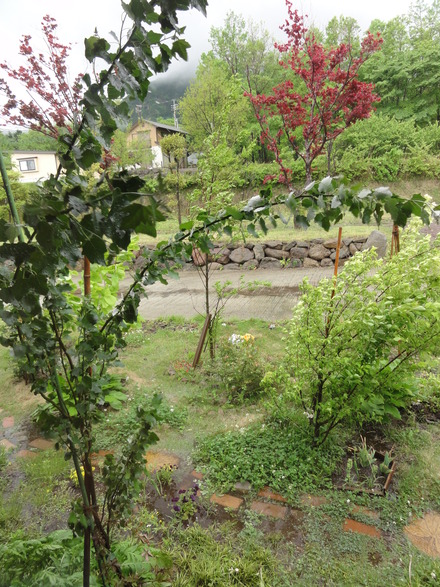 f0209394_2115267.jpg