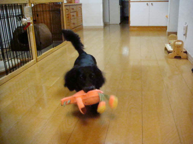 d0098295_2252123.jpg