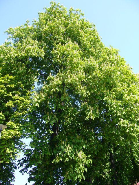 f0169397_21555021.jpg