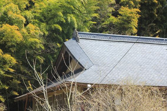 e0054299_13471117.jpg