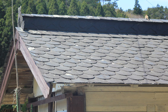 e0054299_13472774.jpg