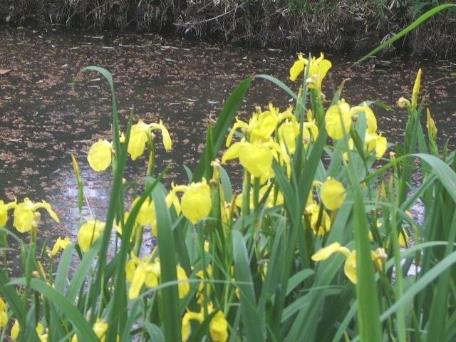 e0025300_1302373.jpg