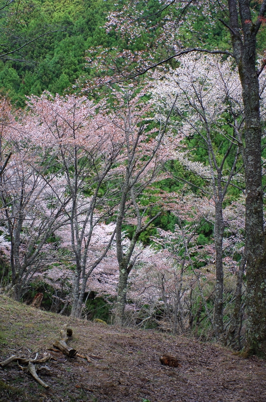 b0138101_2326937.jpg