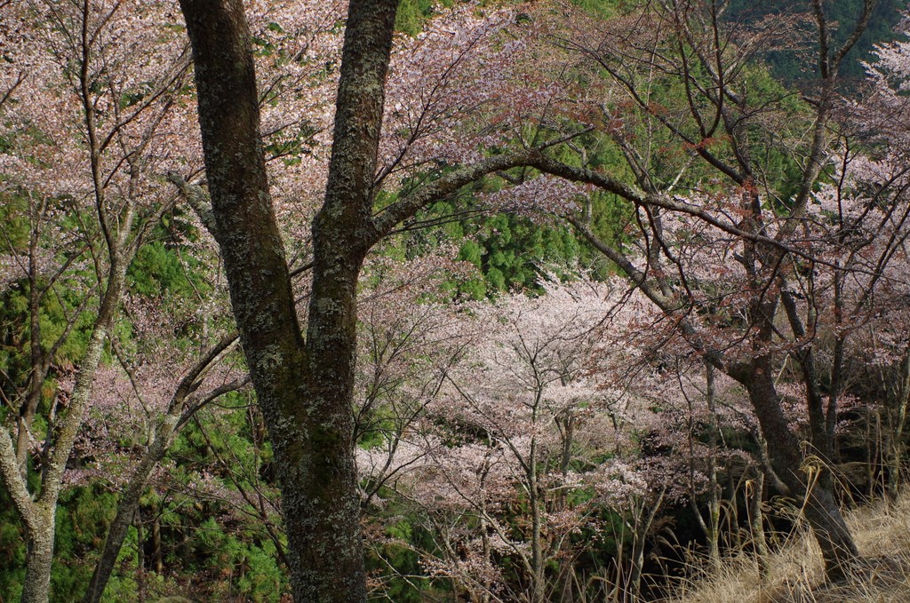 b0138101_23271899.jpg