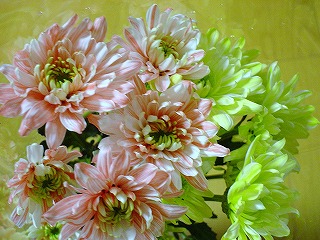 e0115502_9403313.jpg