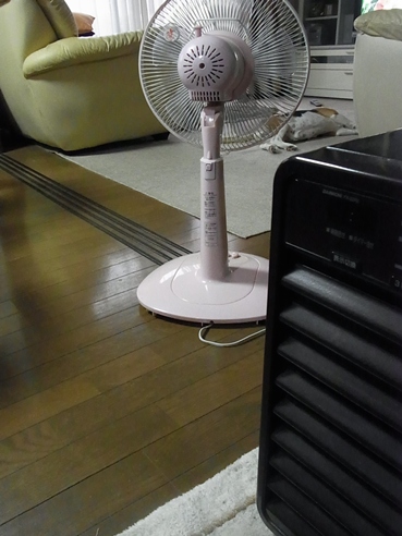 c0205806_19292255.jpg