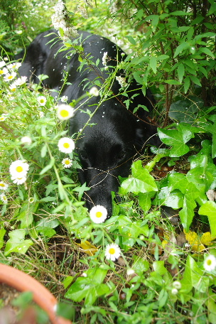 c0056707_20414116.jpg