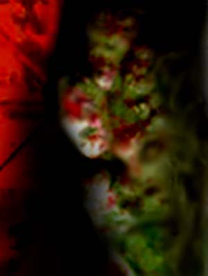 e0103408_17221014.jpg