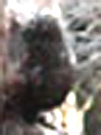 e0103408_9364544.jpg