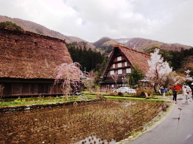 c0221609_18109.jpg