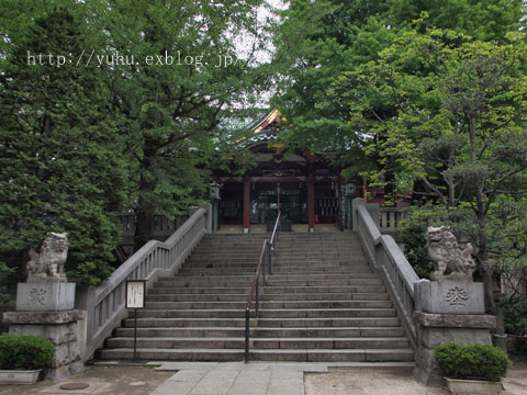a0021110_16332555.jpg