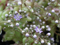 c0190010_22323730.jpg