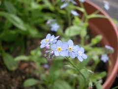 c0190010_2239886.jpg