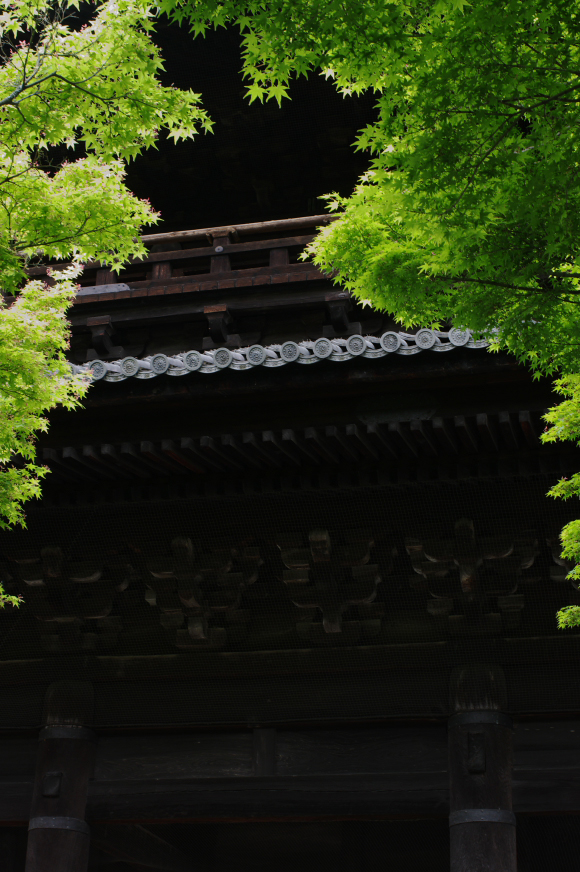 f0221510_232391.jpg