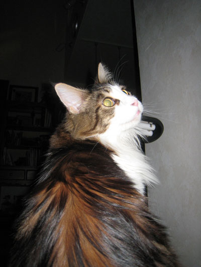 e0195115_17481229.jpg