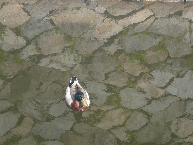 e0026017_1111502.jpg