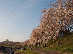 a0157619_0155877.jpg