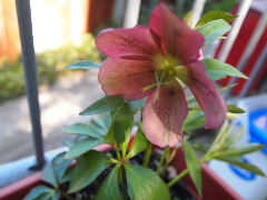 a0157619_0162888.jpg