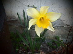a0157619_017038.jpg