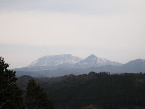 a0157619_2232960.jpg