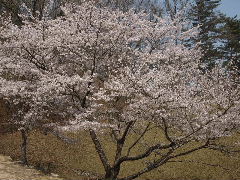 a0157619_2254094.jpg