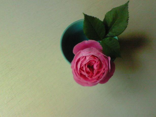 c0097620_22413239.jpg