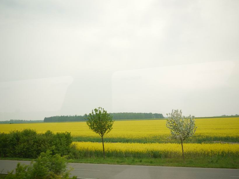 d0175920_192976.jpg