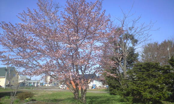 e0227023_23102851.jpg