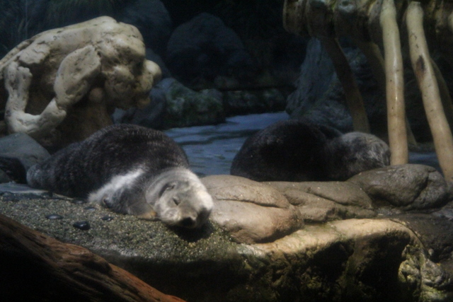 f0221023_11171.jpg