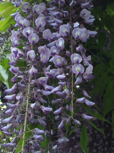 b0199924_2014511.jpg