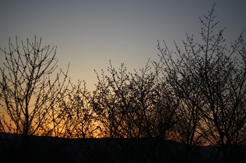 f0045630_5293761.jpg