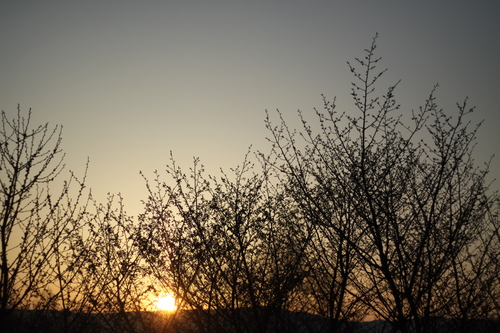 f0045630_7411262.jpg