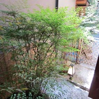 d0033734_1561723.jpg