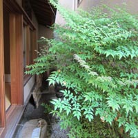 d0033734_1563366.jpg
