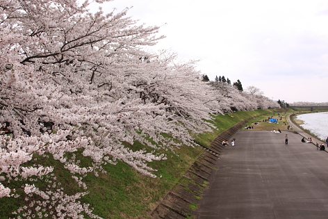 d0202136_042899.jpg