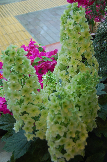 a0060141_13311151.jpg