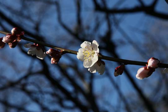 a0042044_1727321.jpg
