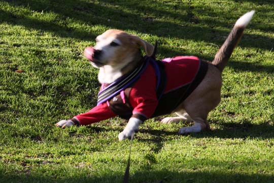 a0042044_17305146.jpg
