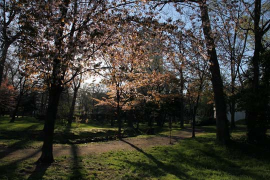 a0042044_1735147.jpg