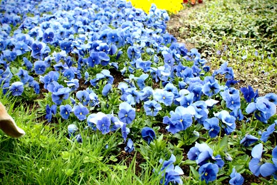 a0042044_17451115.jpg