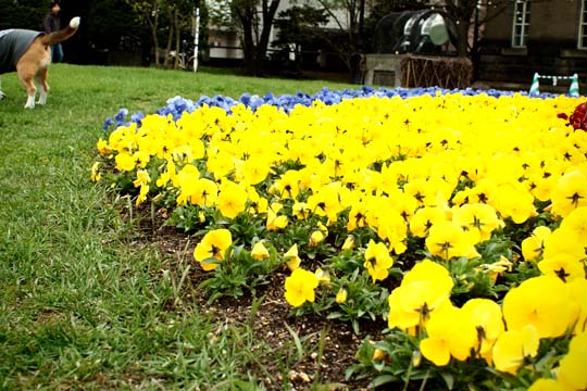 a0042044_17463880.jpg